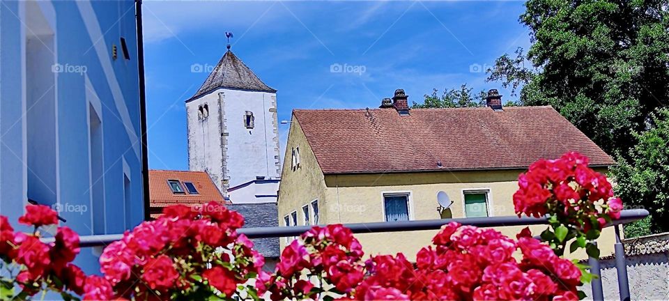 Behind the rose bushes is beautiful “Kelheim”, Bavaria with its well kept medieval architecture and idyllic countryside charm. 2024. Hypnotic Productions