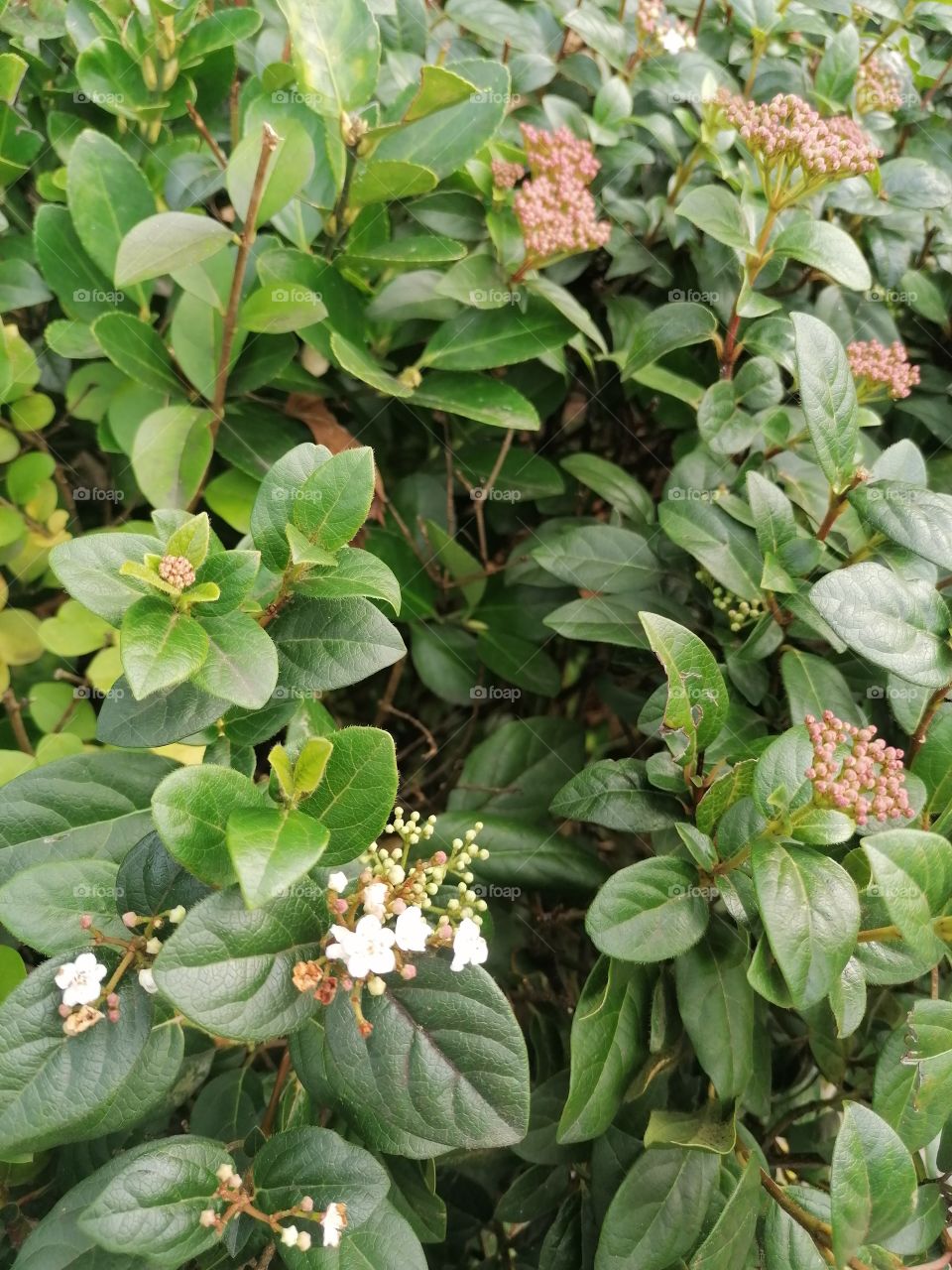 6 декабря в Сочи)