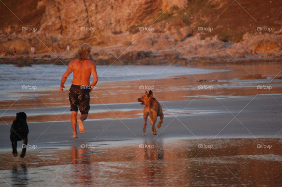 Man running in the beach with his dogs 