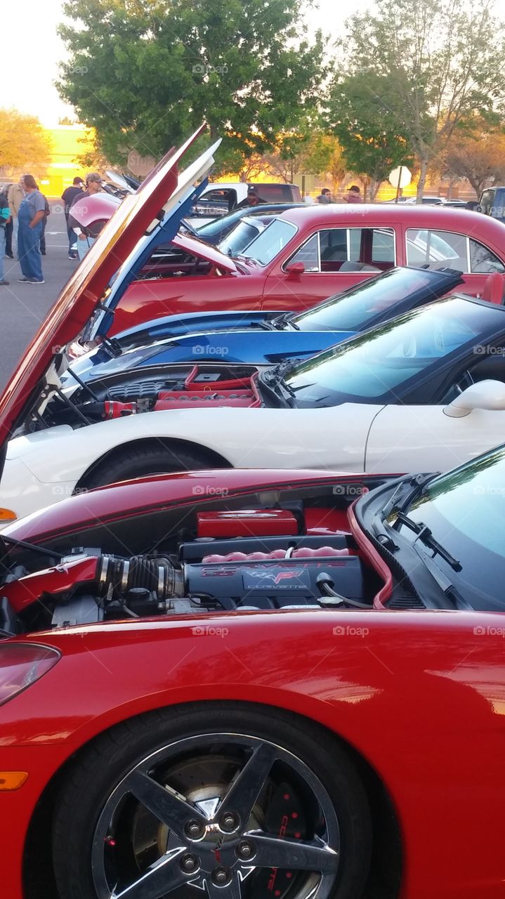 Cars in row with open hood