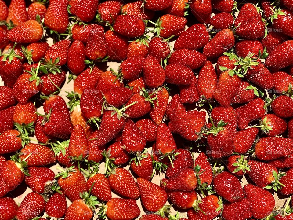 Red strawberries 