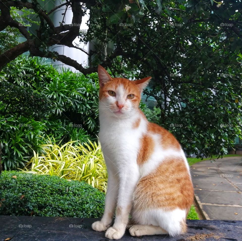 My suncatuary place.