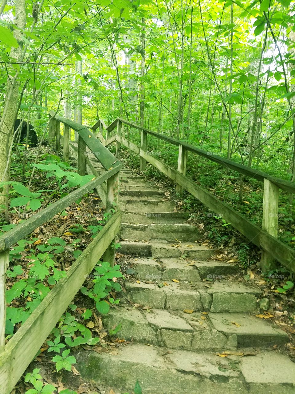 Stairs Trail