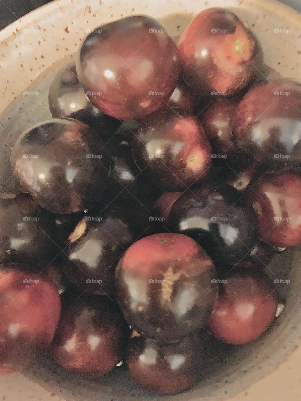 Dark tomatoes 