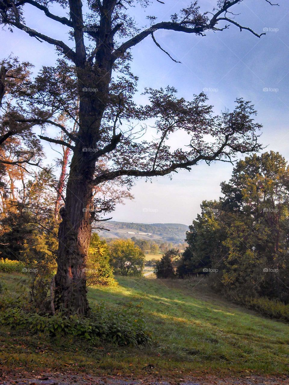 Overlooking the Blue Ridge