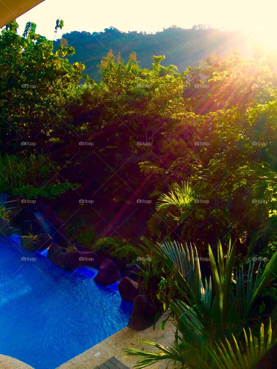 Water, Landscape, Tree, No Person, Travel