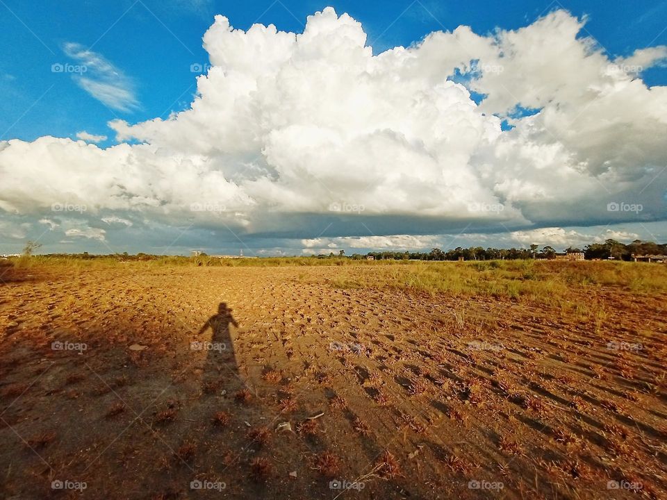 Life is like a landscape