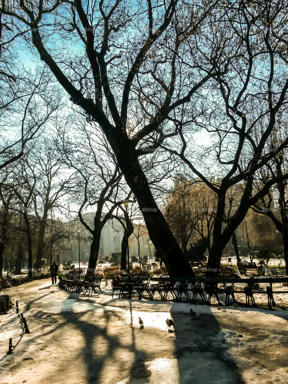 Person walking in park