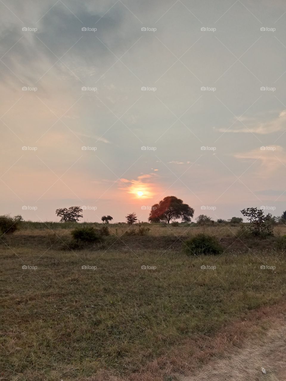 sun set at 5 pm in India