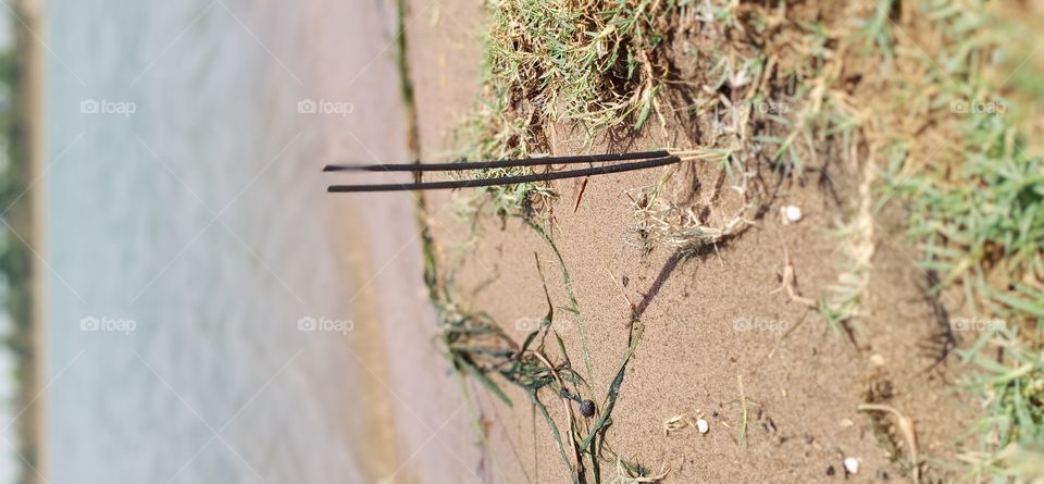 River side of water // water and sandy // sandy of water