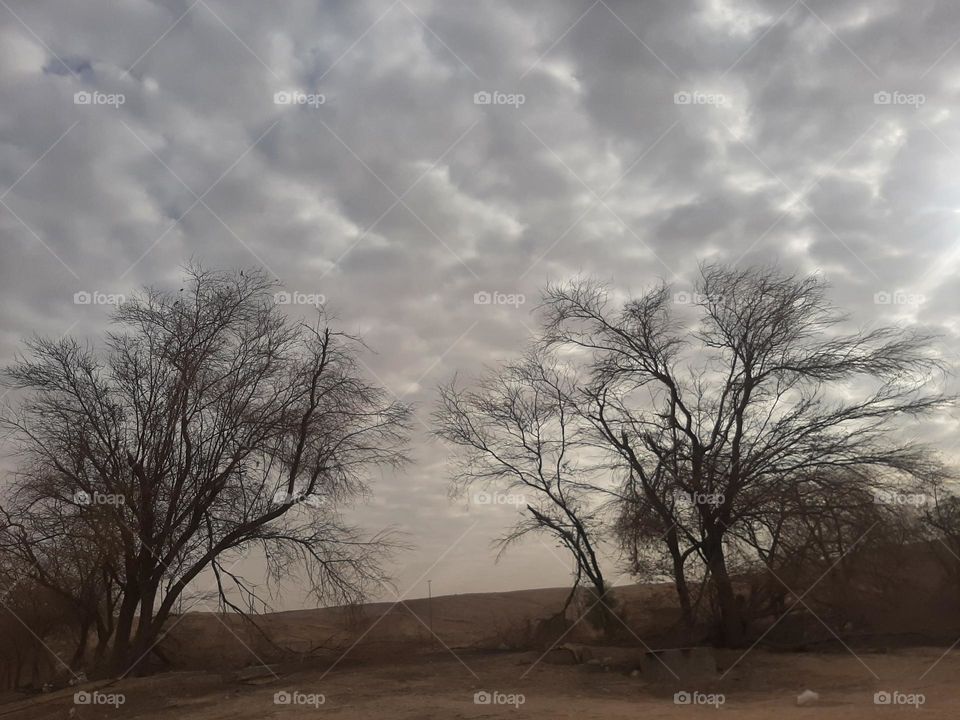 Please make me happy, I am poor, I need your help with support