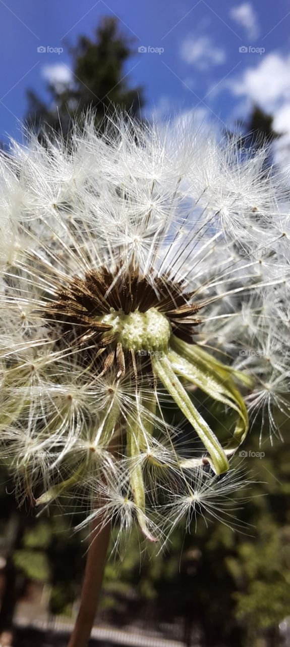 experimenting with pics