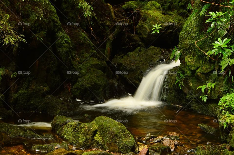 Waterfall in forest