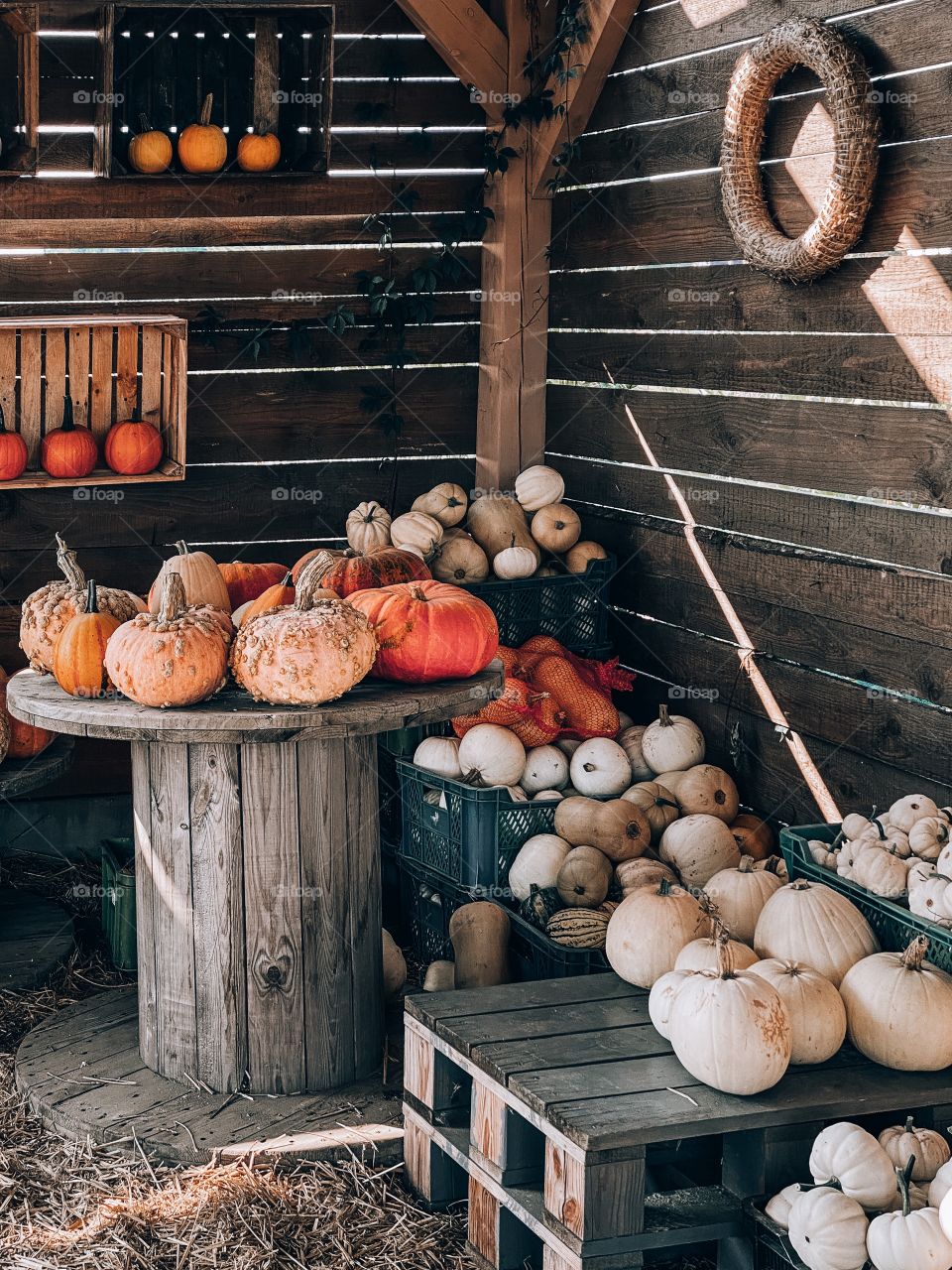 Pumpkins