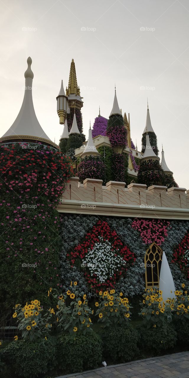 editors' choice: photo of the week