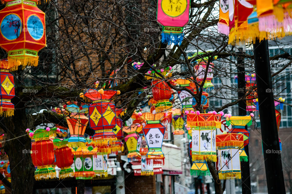 Chinese New Year Lanterns on Trees - Lantern Festival 