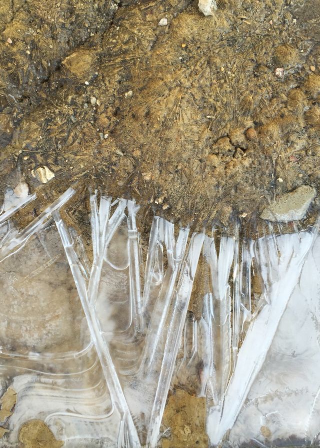 The frozen ground.