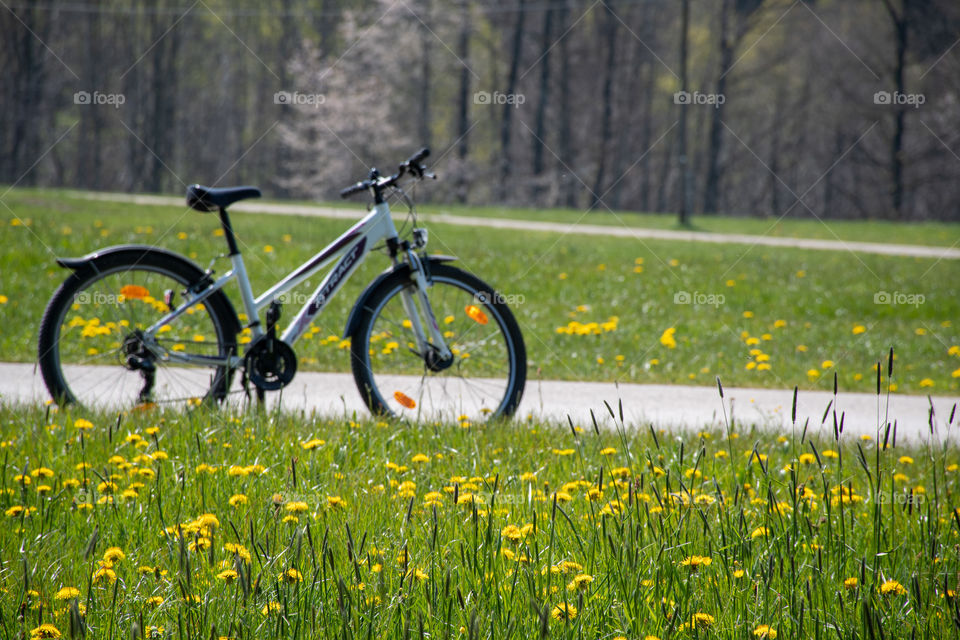Bike Ride on a Sunny Day