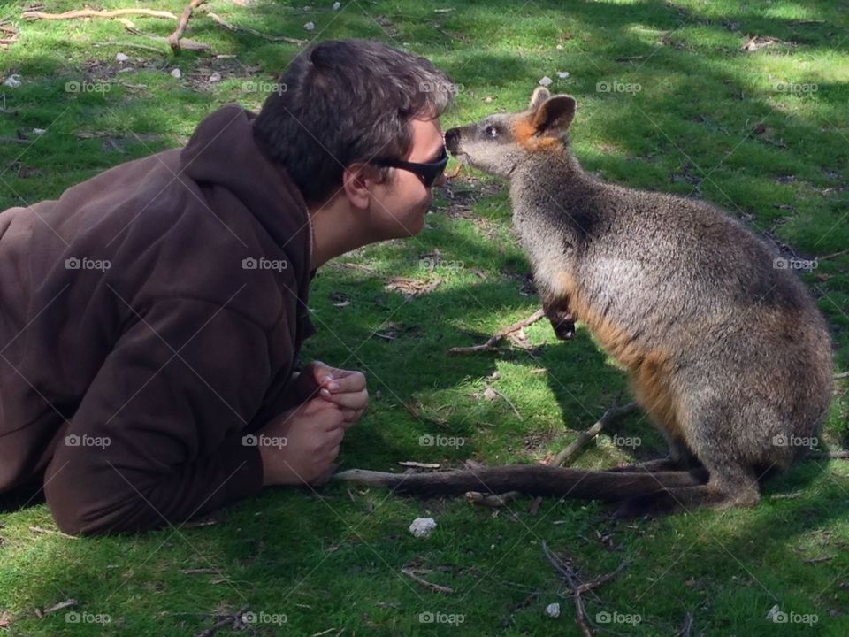 Bonding with a wallaby. My son bonding with a wallaby, south australia