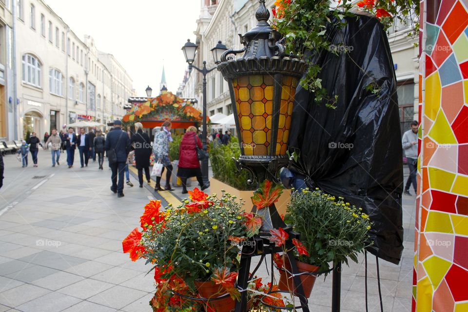 Autumn decorations 