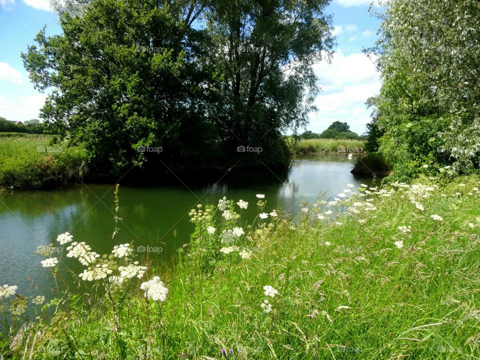 lake. landscape