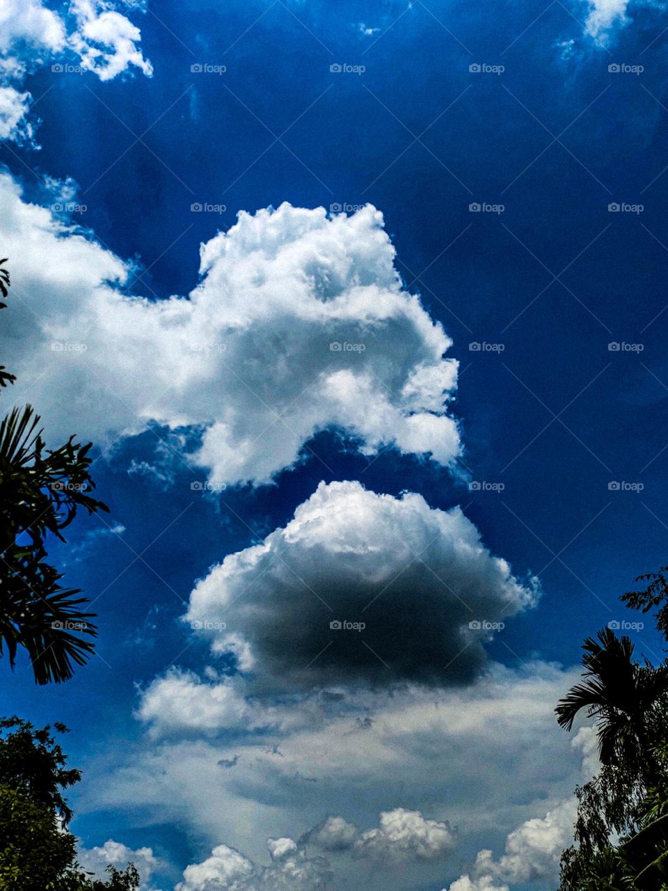 I want to show white clouds and blue sky in this photo.  The sky looks very beautiful with clouds and blue sky.
