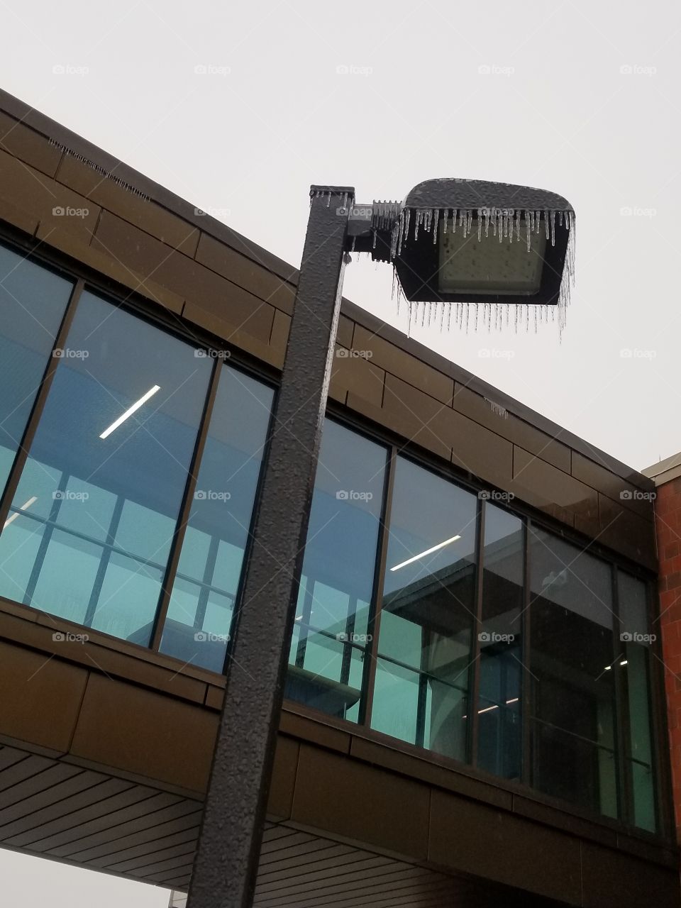 light post and skyway bridge with icicles at a college building