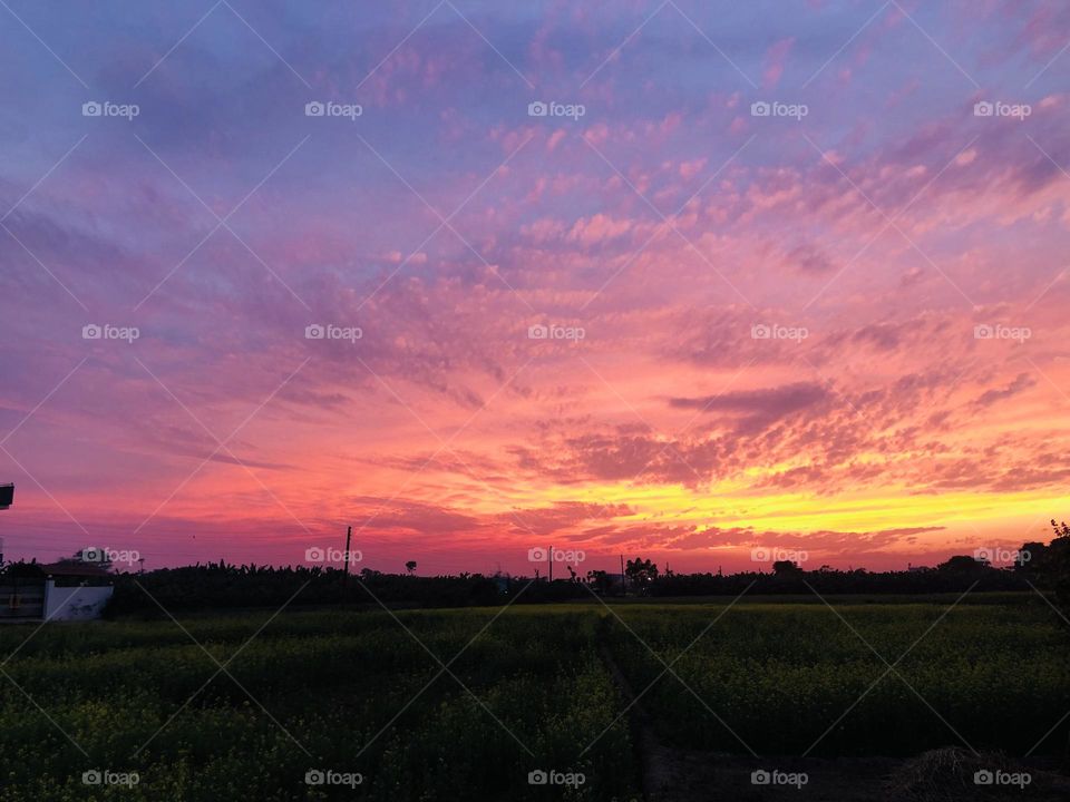 Nature is everything 