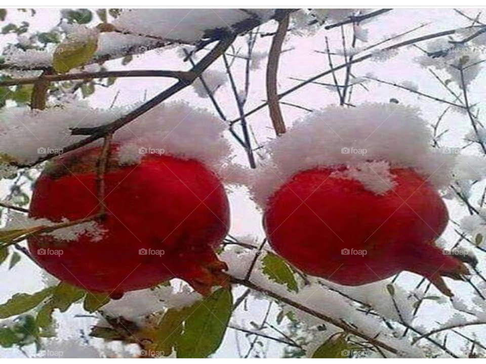 😋😋😋😋😋😋