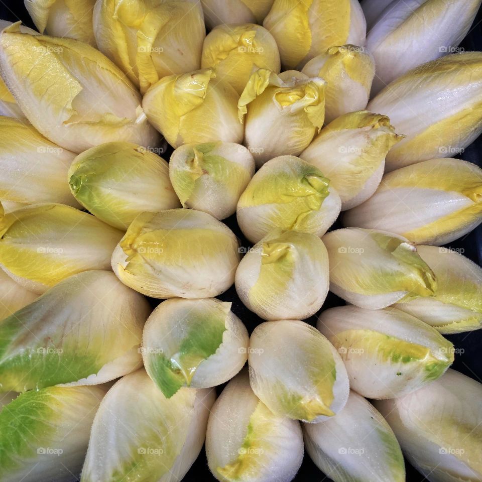 Belgian endive 