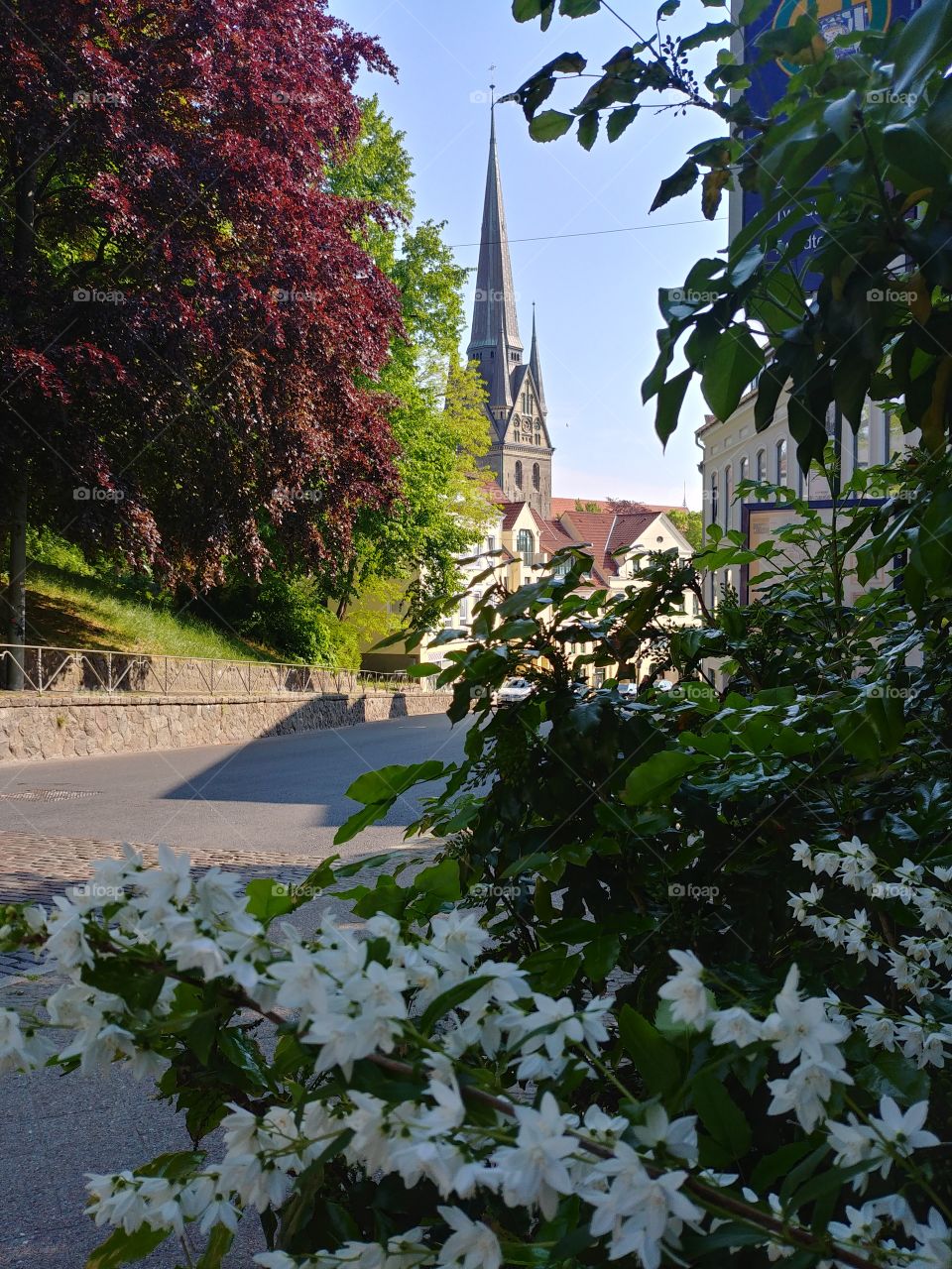 Church Kirche stadt blume blühen