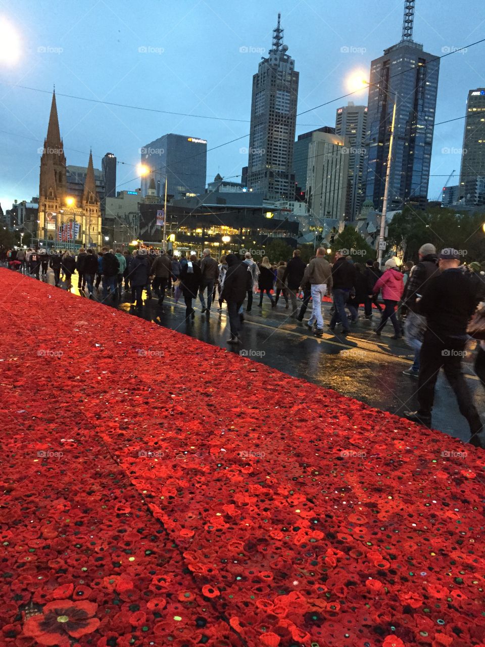 Melbourne ANZAC Day...sea of poppies.