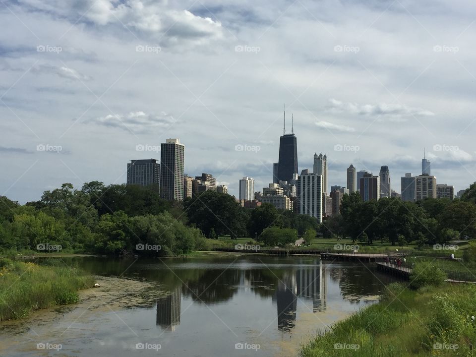 The Chicago. Taken from Lincoln Park Zoo on a hot summer day.