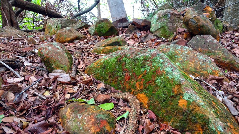 Rochas e vegetais, minérios. Pedras, cores, metais. Matas, rios, ilhas. Fenômenos da natureza. Belezas de nosso planeta.