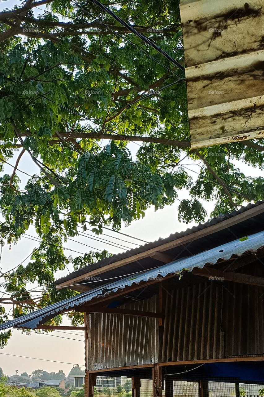 an old building with a tin roof, surrounded by green trees and clear skies