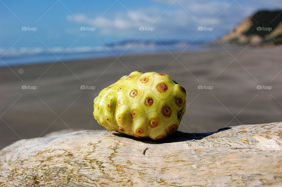 noni fruit