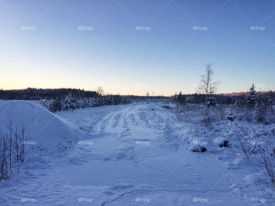 Winter, Snow, Cold, Frost, Frozen