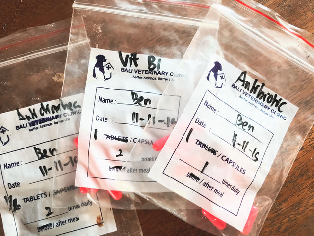 Bali Indonesia: a set of medicine and vitamin for Ben, Ben is dog belongs to the owner of the hostel, a place where I stayed for about 10 days when I was in Bali, so Ben was sick and need a medical attention, so this was what the owner did to him