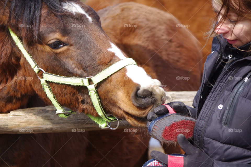 a woman is feeding a horse