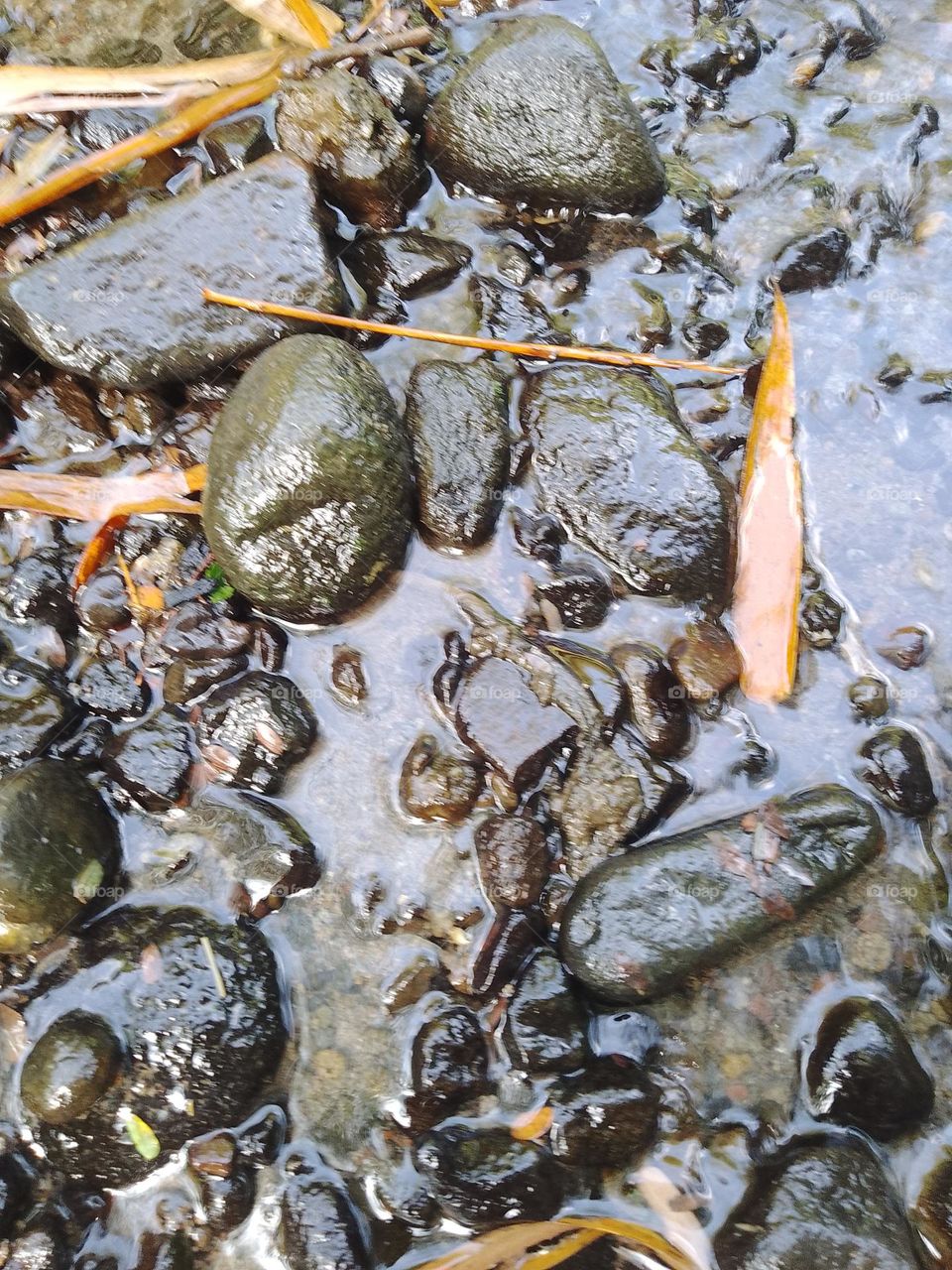 beautiful river rocks