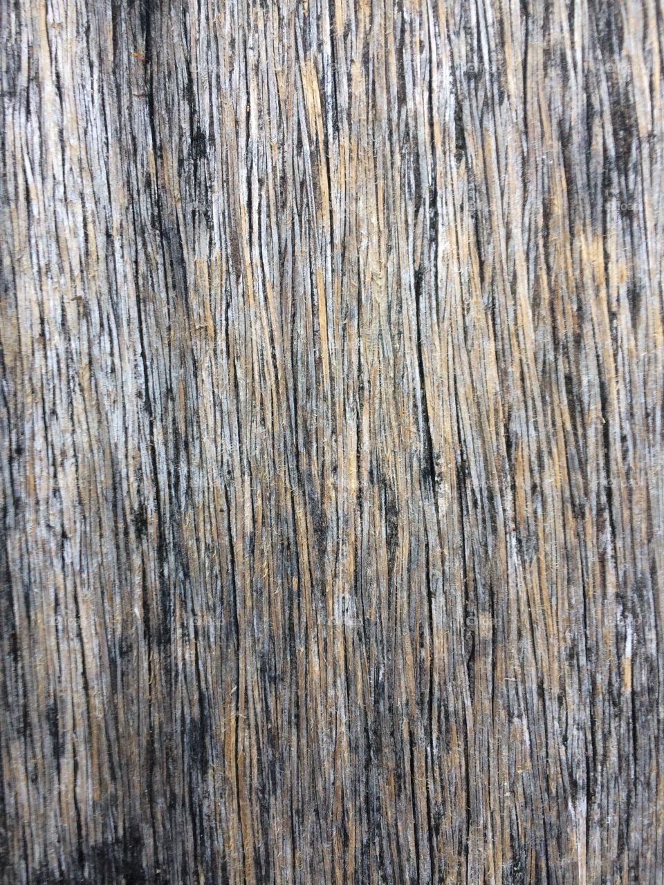 Wood
