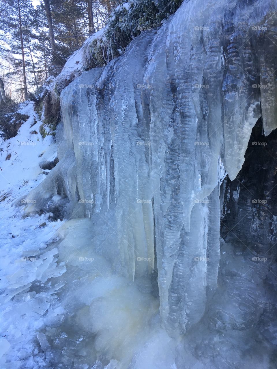 Beautiful icicle on a rock