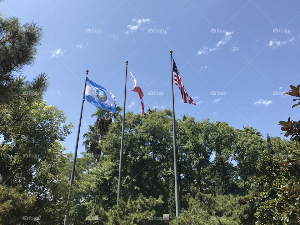 Flags Anaheim, California, United States 