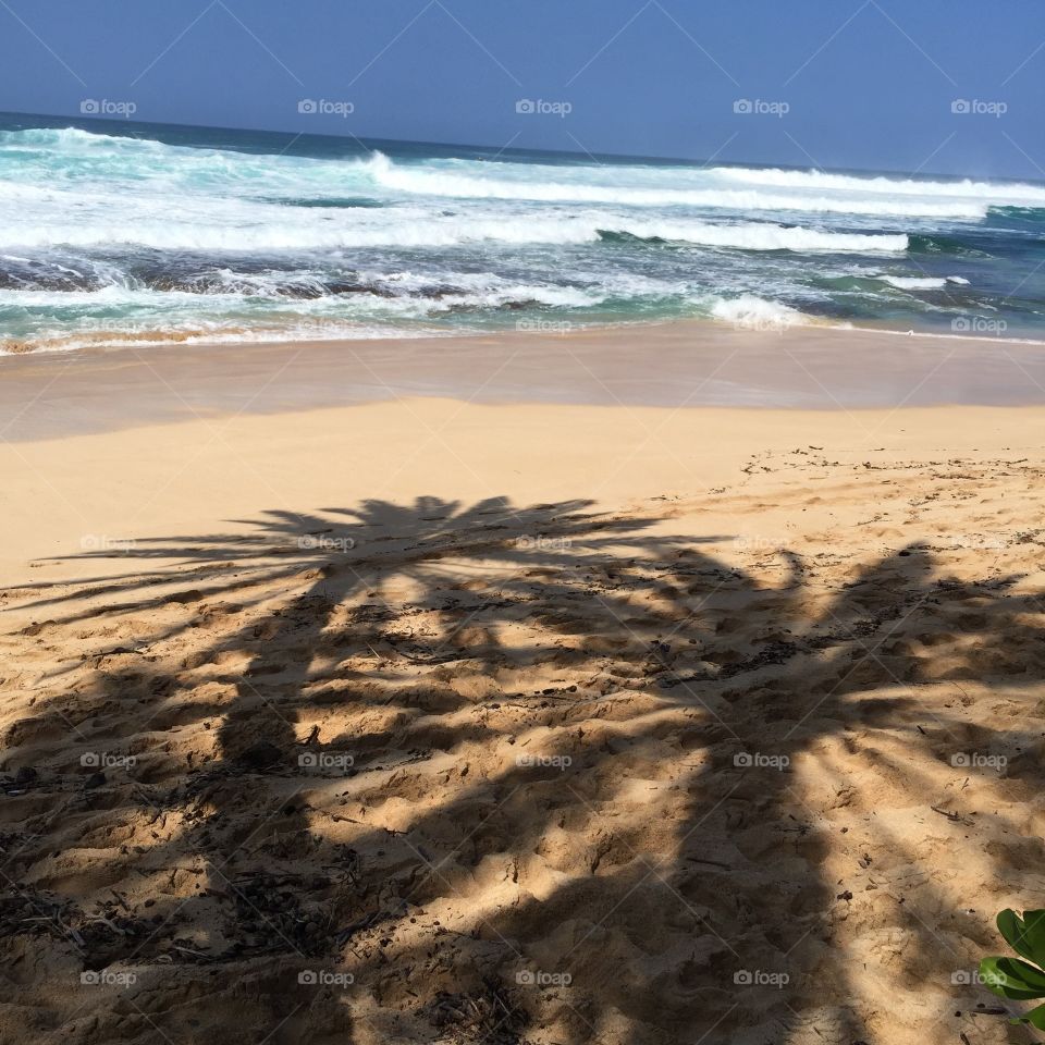 Beach in hawaii