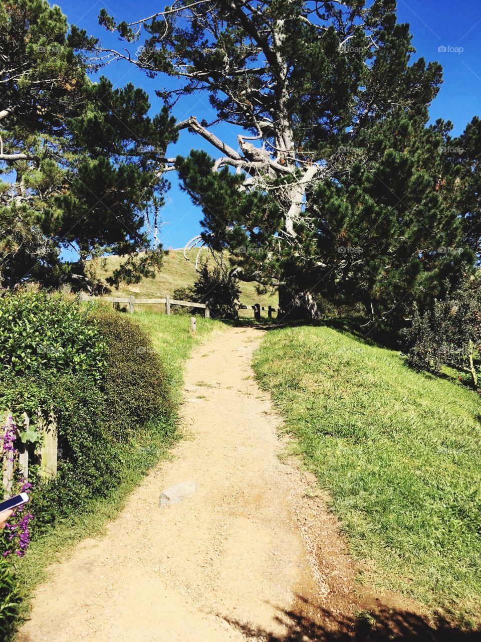 Visiting middle earth! 