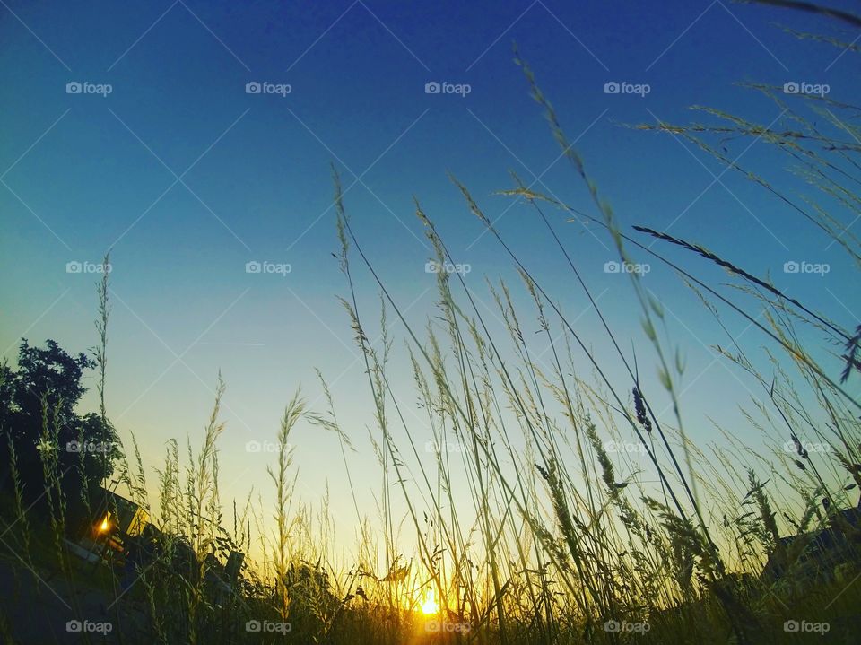 Countryside landscape at sunrise