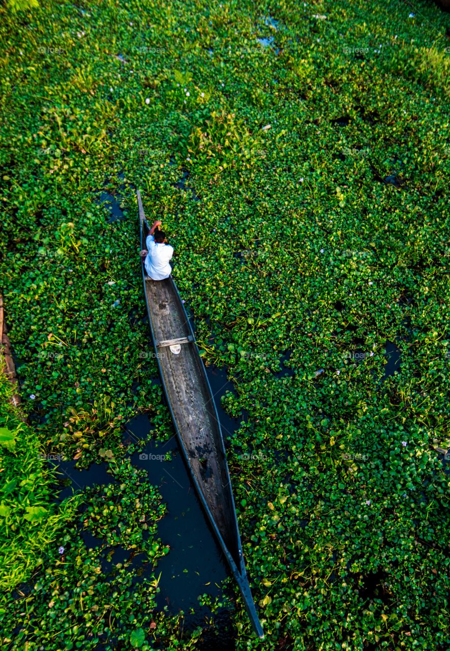 Tiny human rowing his boat alone thru the floating green foliage on the water