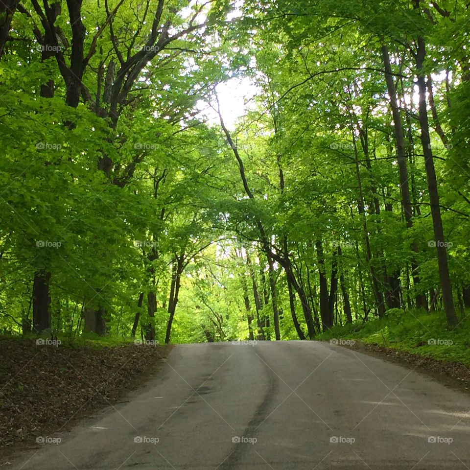 A weekend commute through the park for some rest and relaxation. 