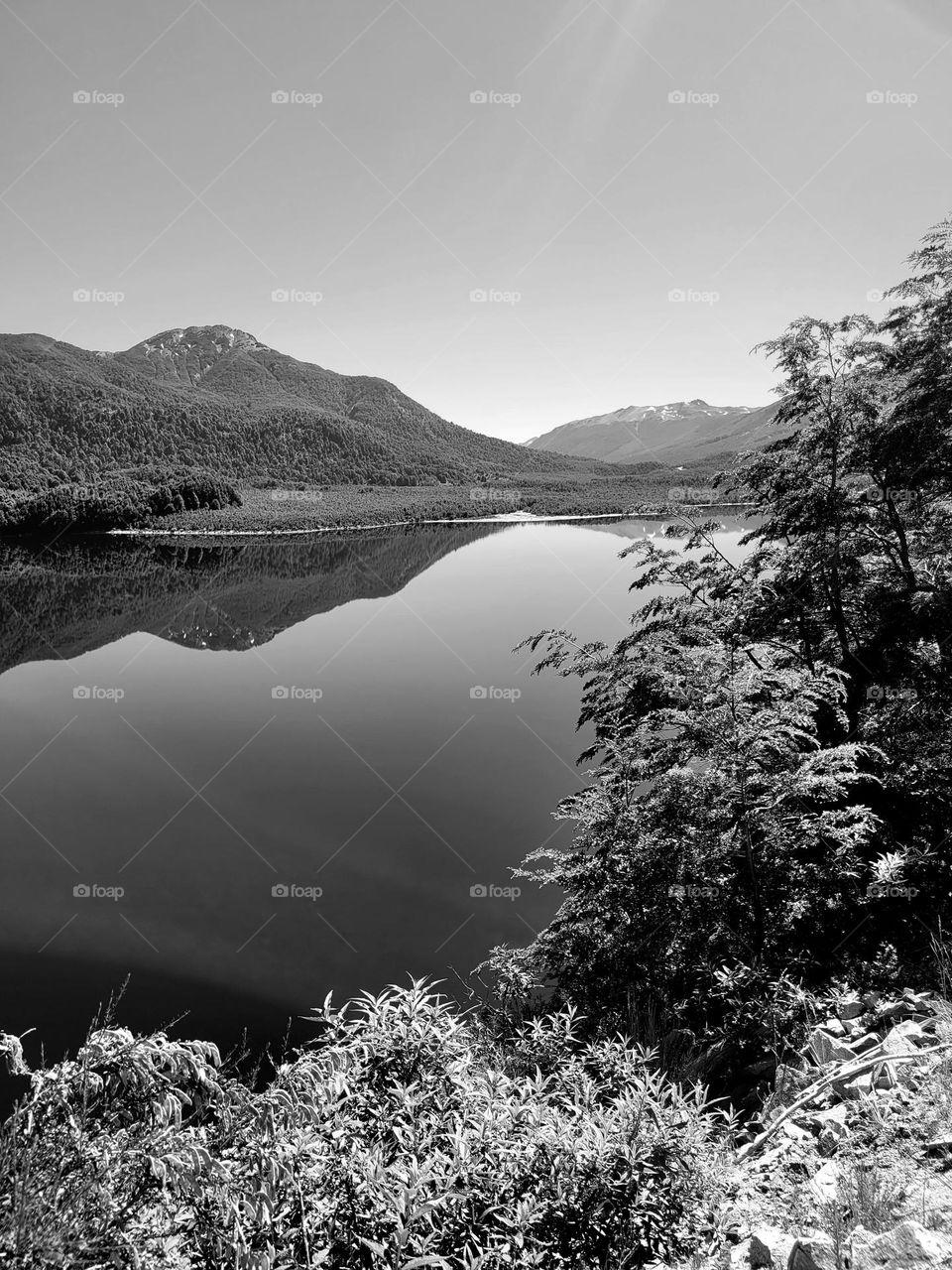 paisaje en blanco y negro