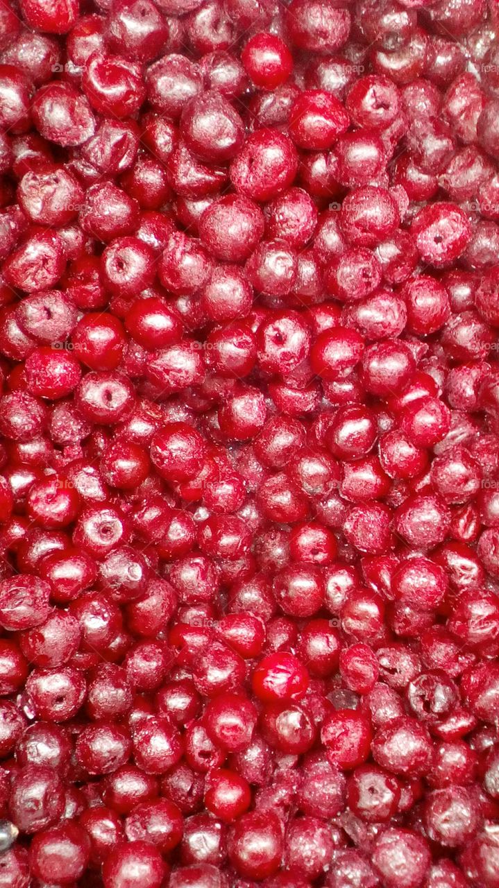Frozen red beautiful berries